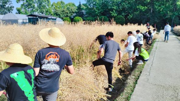 校长来了｜成都锦城学院校长王亚利：建“西部领先、全国一流”的应用型大学