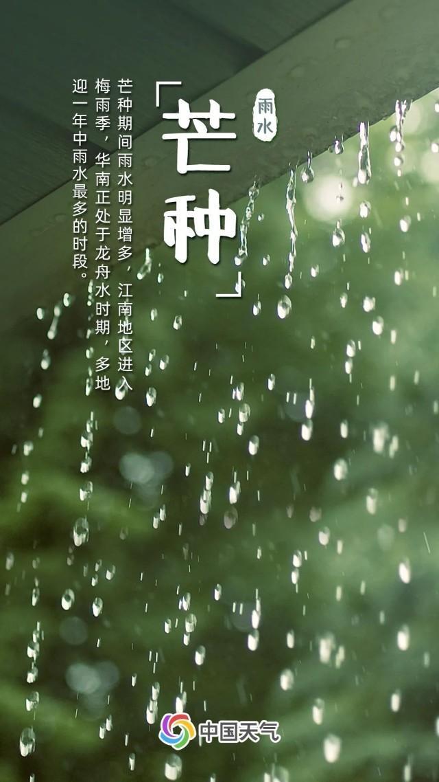 芒种忙种！雨水充沛高温频发 全国夏收地图看哪里需抢农时