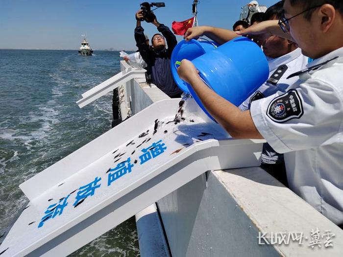 河北省首个水生生物放流平台在唐山市曹妃甸海域设立