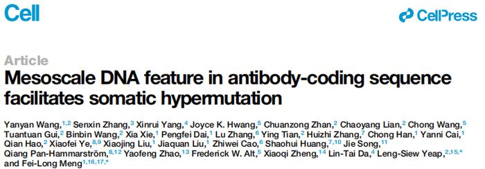 Cell | 南模生物助力揭示DNA柔性在抗体基因超突变中的生理功能