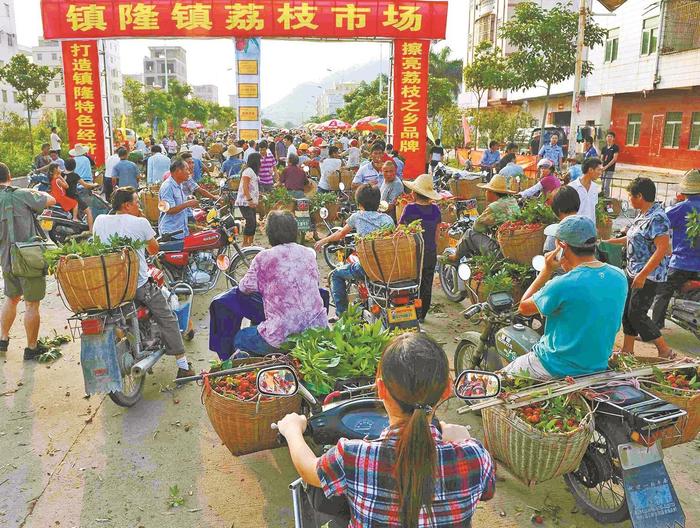 惠州镇隆今年荔枝产量预计超1万吨 将于6月15日后陆续上市，均价为20元/斤