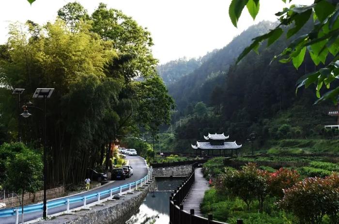 乡约贵州 · 印江县豆凑林村丨拾野梵净山下小乡村，静享夏日美好