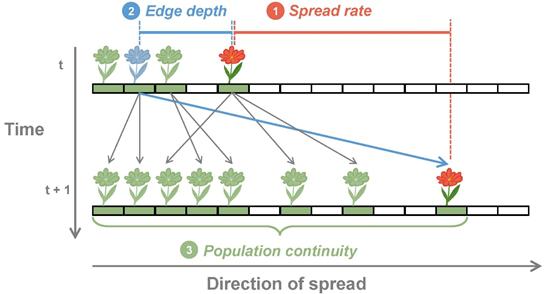 Journal of Ecology | 种子传播和繁殖力的密度依赖性显著改变植物种群扩张动态