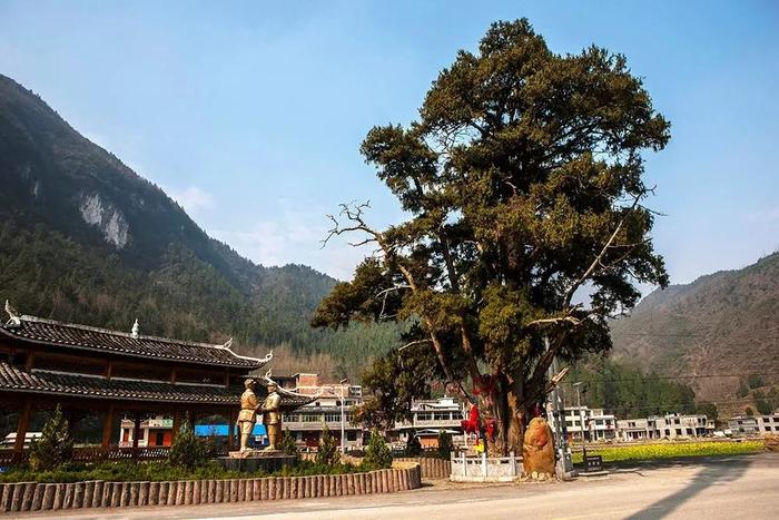 乡约贵州 · 印江县豆凑林村丨拾野梵净山下小乡村，静享夏日美好