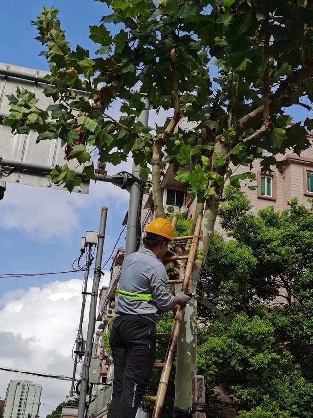 徐房集团召开2023年第二季度安全生产工作会暨防汛防台工作部署会