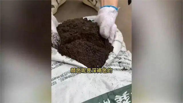 程序员转行卖羊粪曾被嘲笑，如今月销超百万元