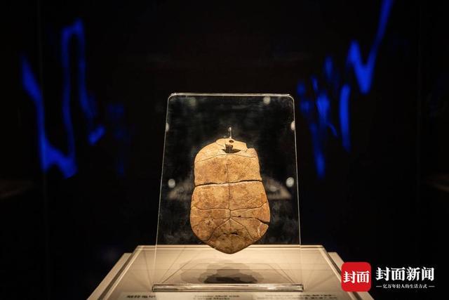 从8000年前的刻符龟甲说起 成博新展用220件重磅文物解读“汉字中国”｜文化和自然遗产日