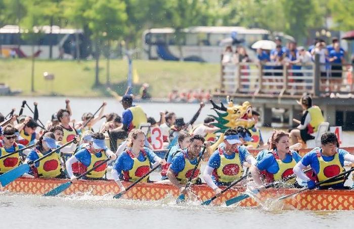 浓浓中国风、满满国际范儿  长三角地区32所高校留学生在沪赛龙舟