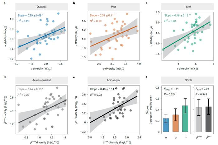 北京大学王少鹏研究组揭示生物多样性的多尺度稳定化作用｜Nature Ecology & Evolution