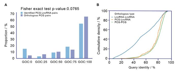 Mol. Biol. Evol. | 高歌课题组提出基因丢失鉴定新方法