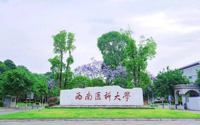 西南医科大学：2023年招生总量再增400人 启动首批临床医学“本硕衔接创新班”招生