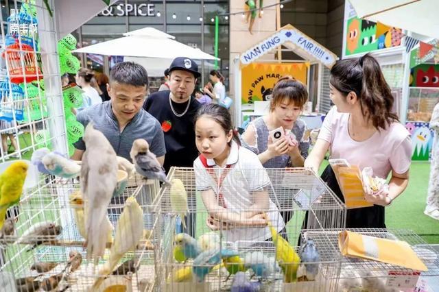 “小猪佩奇”来啦！虹桥南丰城开启新一轮活动