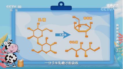 【华二陀】这些美食被朋友圈谣言害！惨！了