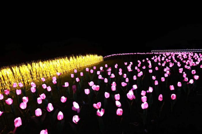 着力发展沉浸式文旅体验经济 沪郊山阳田园成为“夜金山好去处”