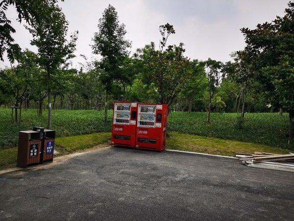 首批“环上”公园开园半年，市民满意吗？配套设施够吗？今天上海披露了测评结果