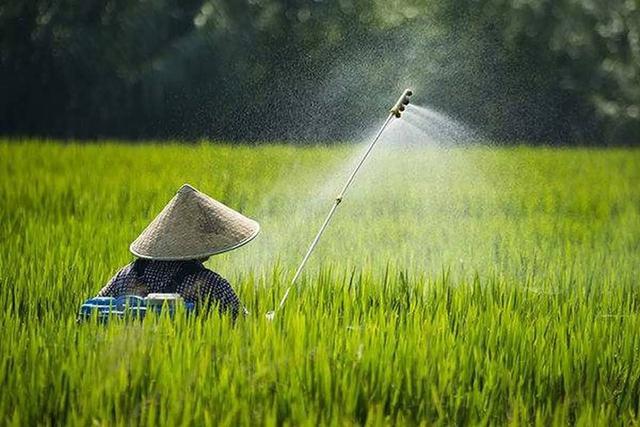 大叔喷洒农药误吸中毒 医生提示：发现农药中毒者第一时间还可这样做