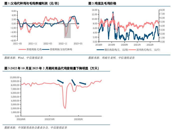 中信建投 | 禽产业链系列研究之五：如何看待下半年白羽肉鸡行情走势？