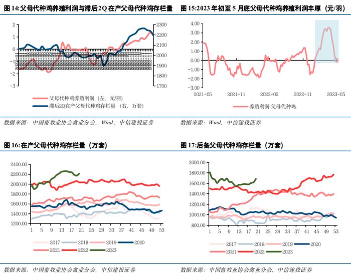 中信建投 | 禽产业链系列研究之五：如何看待下半年白羽肉鸡行情走势？