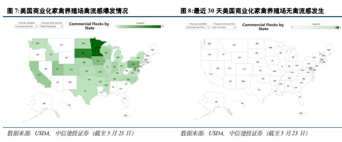 中信建投 | 禽产业链系列研究之五：如何看待下半年白羽肉鸡行情走势？