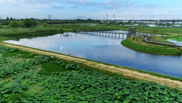 宜兴防洪屏障全面升级 环太湖大堤防洪标准提升至百年一遇