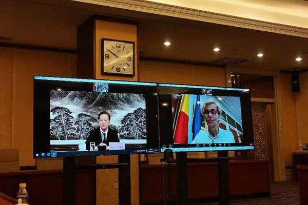 全国人大外事委员会副主任委员王超与罗马尼亚众议院外委会主席比罗举行视频会议