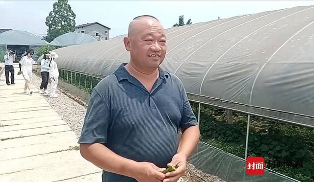 山东大叔到四川邻水种普罗旺斯西红柿 助力打造蔬菜种植观光基地｜全力以赴拼经济搞建设