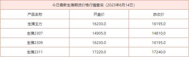 2023年6月14日生猪期货价格