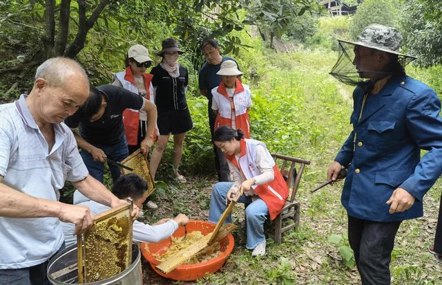 桃源沙坪镇：助力乡村振兴 巾帼为蜜代言