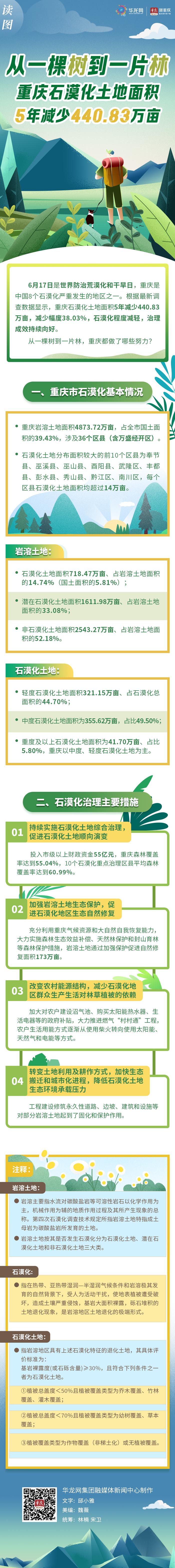 图解 | 从一棵树到一片林 重庆石漠化土地面积5年减少440.83万亩