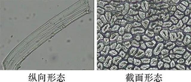 据说这种面料一直是夏季首选→