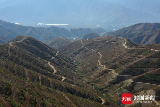 世界防治荒漠化和干旱日｜较上个监测期减少47.17万公顷 四川荒漠化治理成效显著