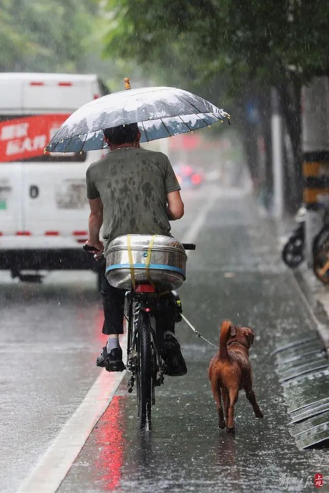 上海暴雨一波接一波，近20年黄梅天大变样，你发现了吗