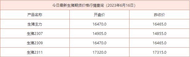 2023年6月16日生猪期货价格