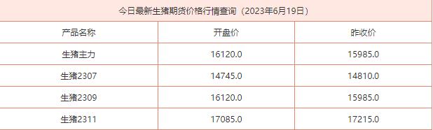 2023年6月19日生猪期货价格