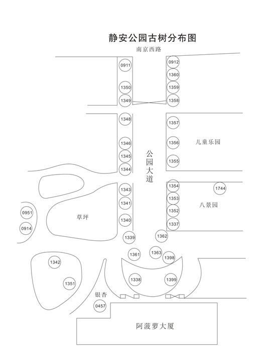 赶在汛期来临前，这家公园对古树群修枝剪叶→