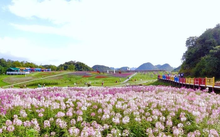 贵州旅游地标 ④ | 毕节百里杜鹃风景名胜区