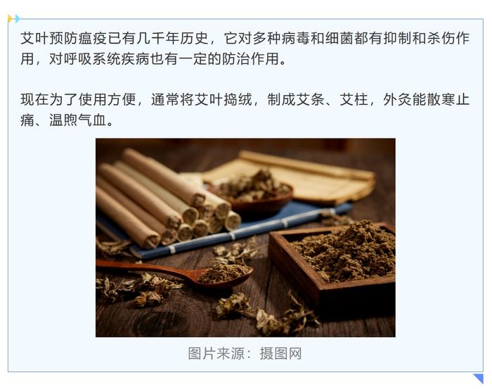 艾叶只能挂门上？不，TA还有很多药用价值