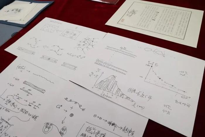 简直艺术品！复旦大学本科录取通知书全新亮相