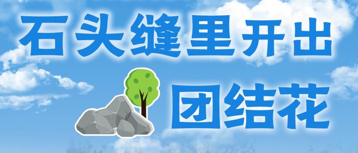 塞罕坝机械林场：石头缝里开出“团结花”