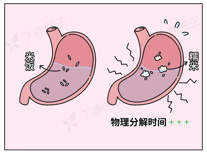 早上吃的粽子，到底要多久才能消化完啊？