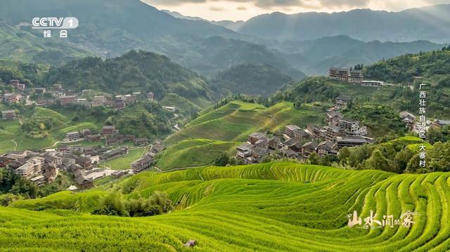 “山水”又一程，喜摘“白玉兰”