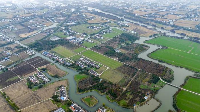 从一座楼房养猪场看上海乡村土地13年之变