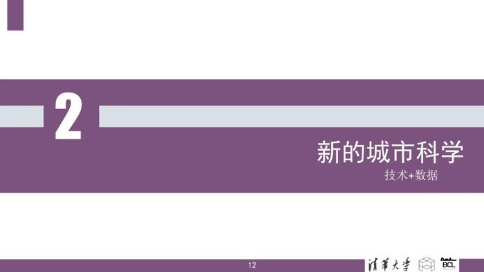 清华大学：新城市科学：技术、数据、变革与应用