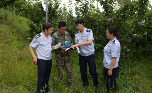 天水麦积区税务局助力“陇上樱珠”香飘万家