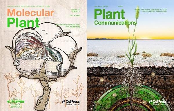 《分子植物》SCI影响因子27.5 排名居植物科学类期刊全球第一