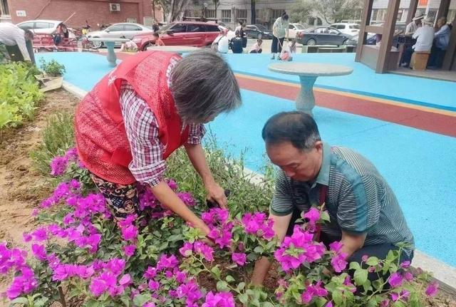 相约大运 成就梦想｜迎大运展风采 “花满江华”成最美风景线