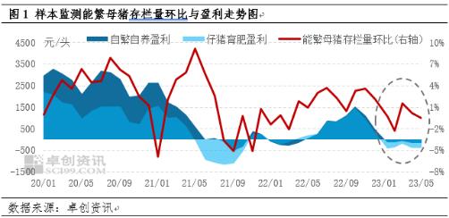 卓创资讯：仔猪外销由盈转亏、淘汰母猪需求增量 四季度生猪养殖企业产能淘汰或加速