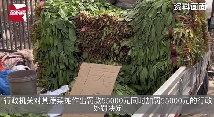 卖菜大爷挣21元被罚款11万，行政机关申请强制执行！法院：不准！