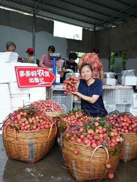 搭乘电商销售快车，藏在深山水库的“宝藏”荔枝畅销全国