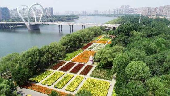 沈阳市和平区百合花展在沈水湾公园盛大开幕